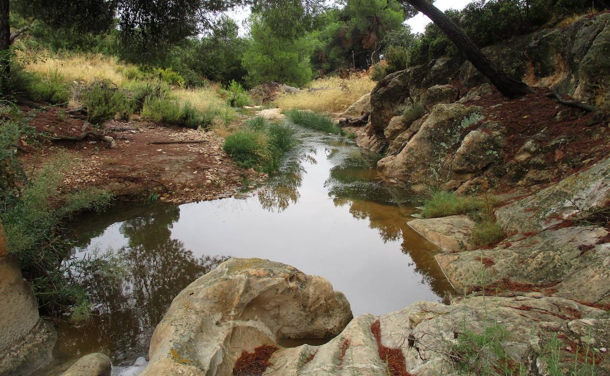 Tramo bajo de la rambla de Tobarrillas.