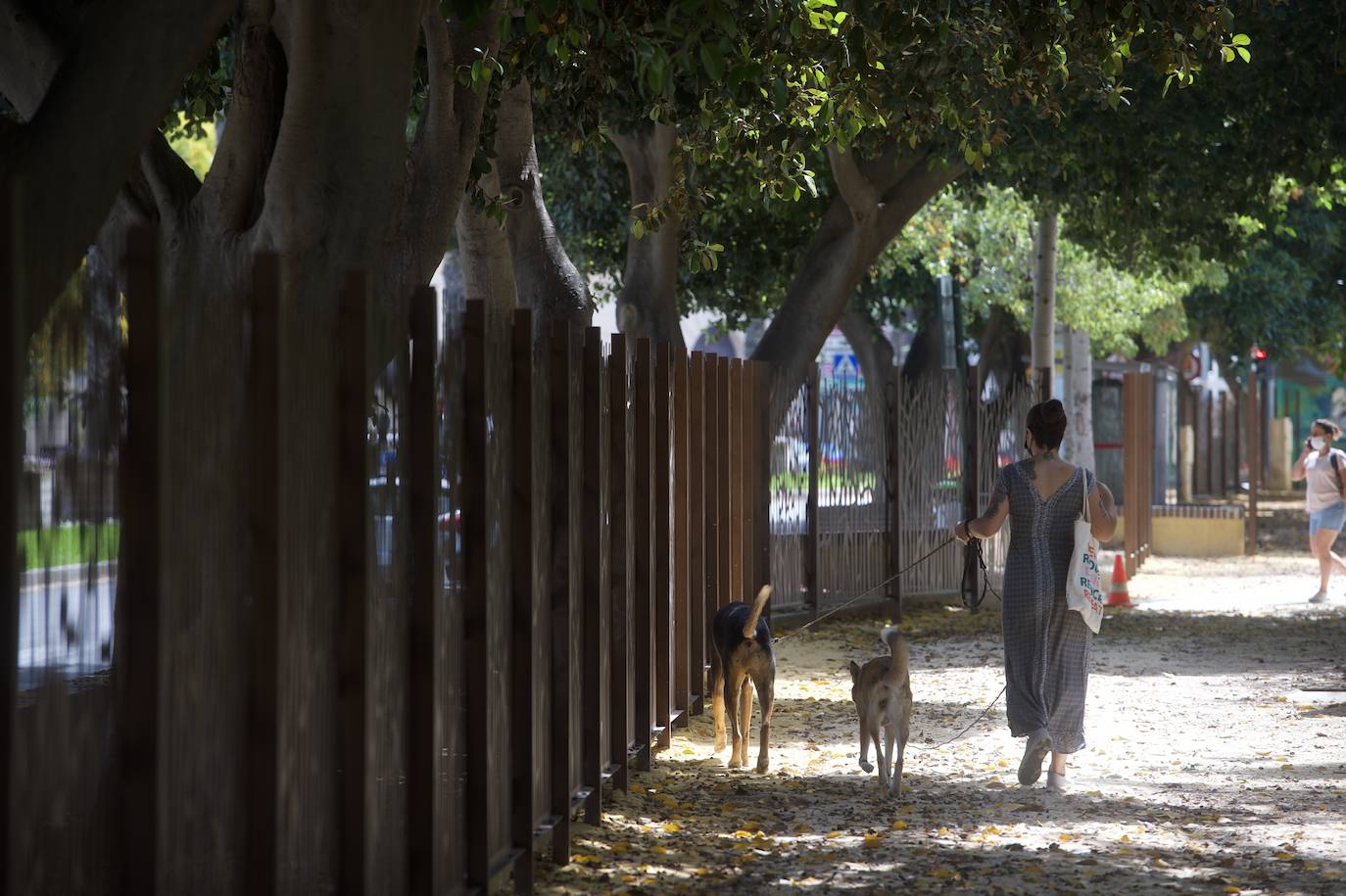 Fotos: Comienza el vallado del Jardín del Malecón de Murcia