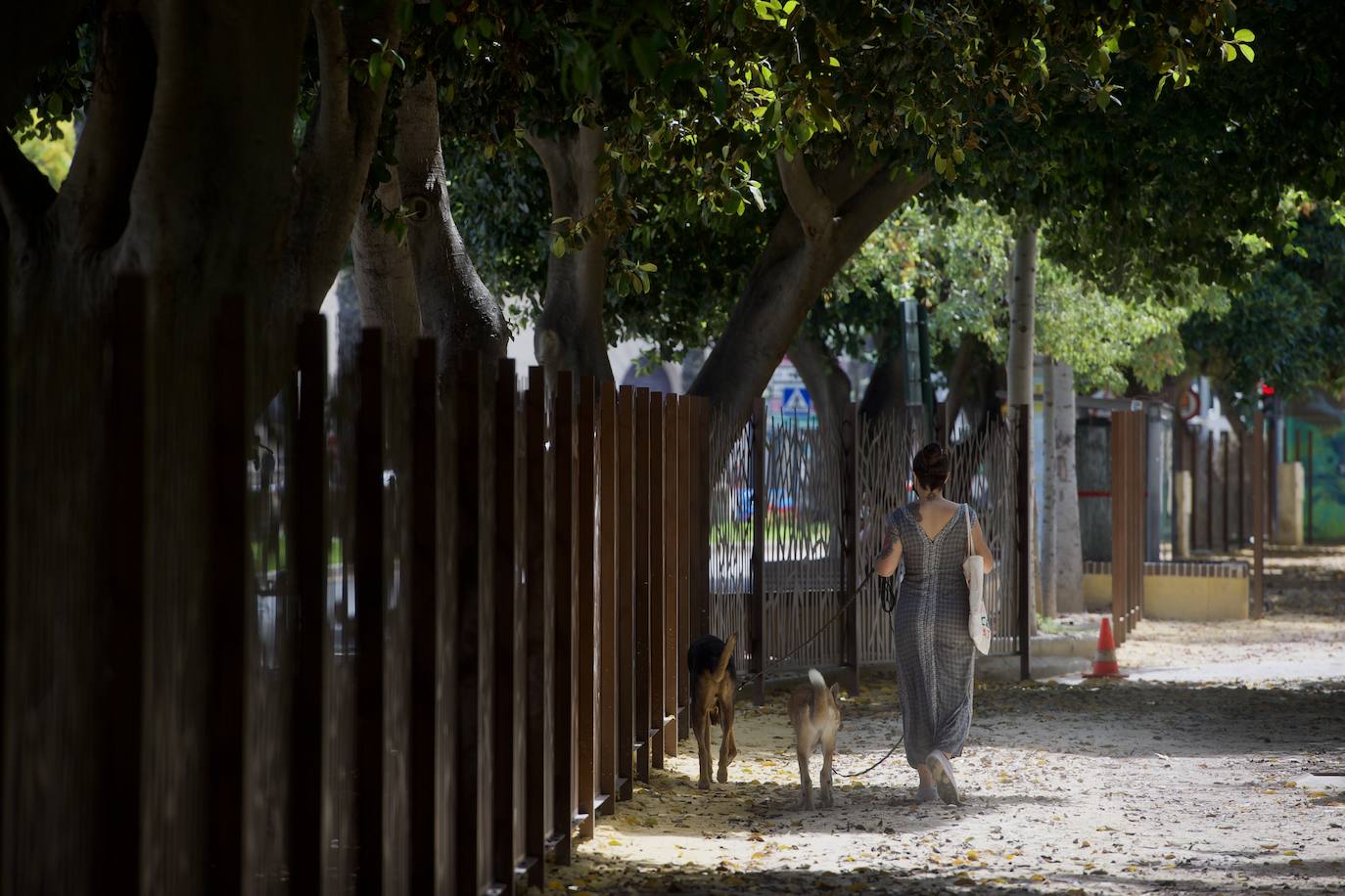 Fotos: Comienza el vallado del Jardín del Malecón de Murcia
