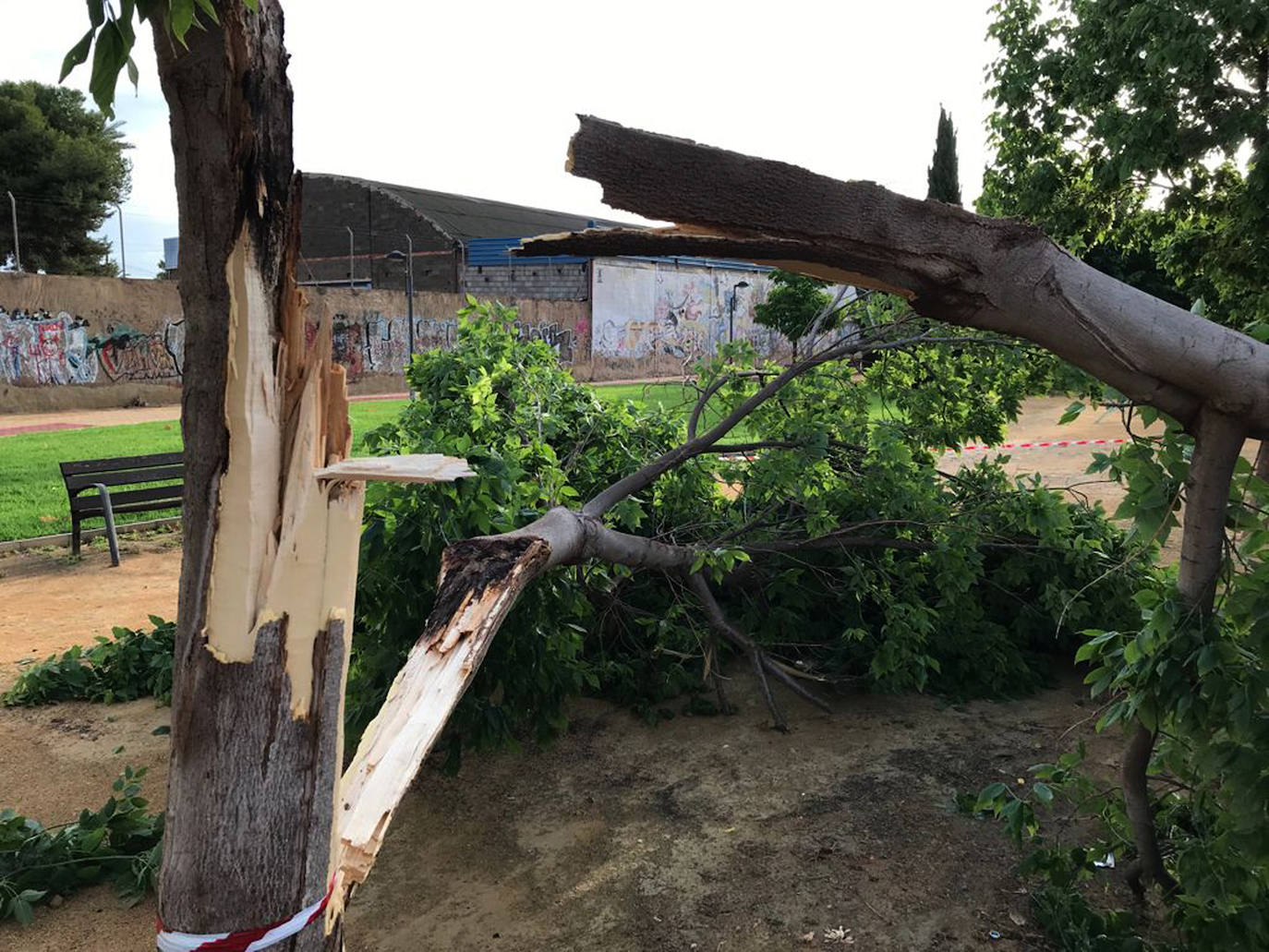 Fotos: Las consecuencias de las fuertes lluvias en la Región