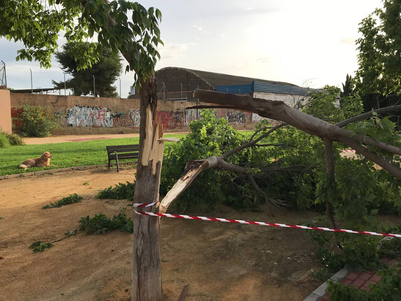 Fotos: Las consecuencias de las fuertes lluvias en la Región
