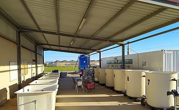 Sistema de prueba de la solución que se ubicará en El Albujón. 