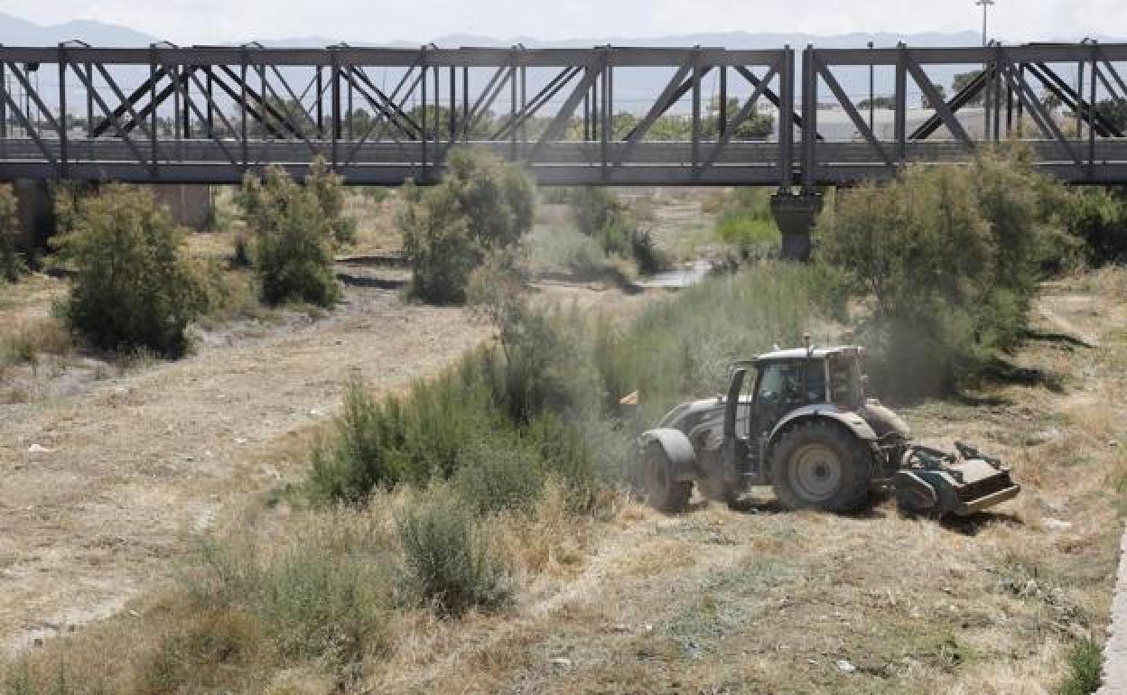 Un tractor durante las labores de limpieza en el tramo urbano del río Guadalentín, este miércoles. 