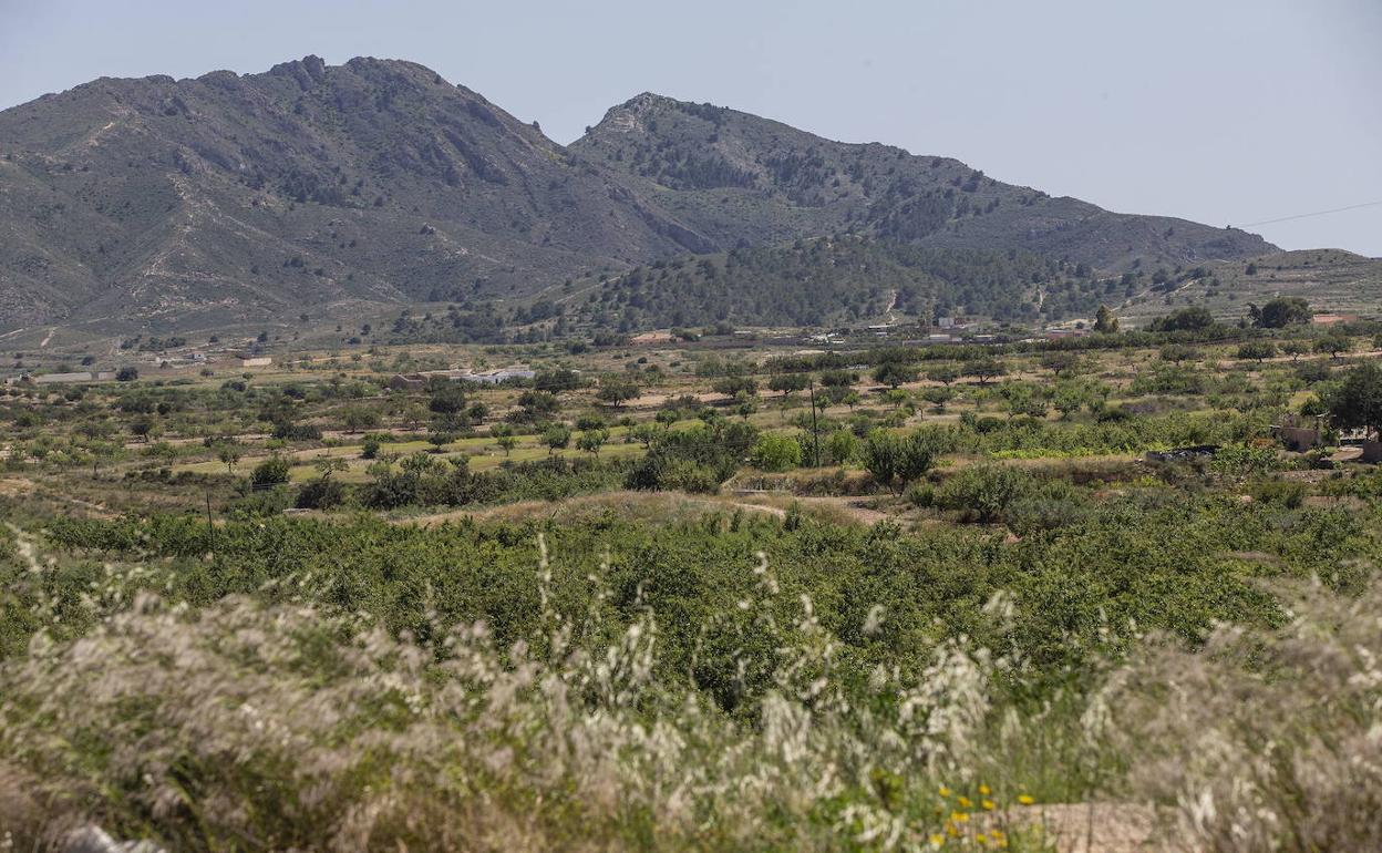 Terrenos del entorno de Canteras elegidos para construir un huerto solar.