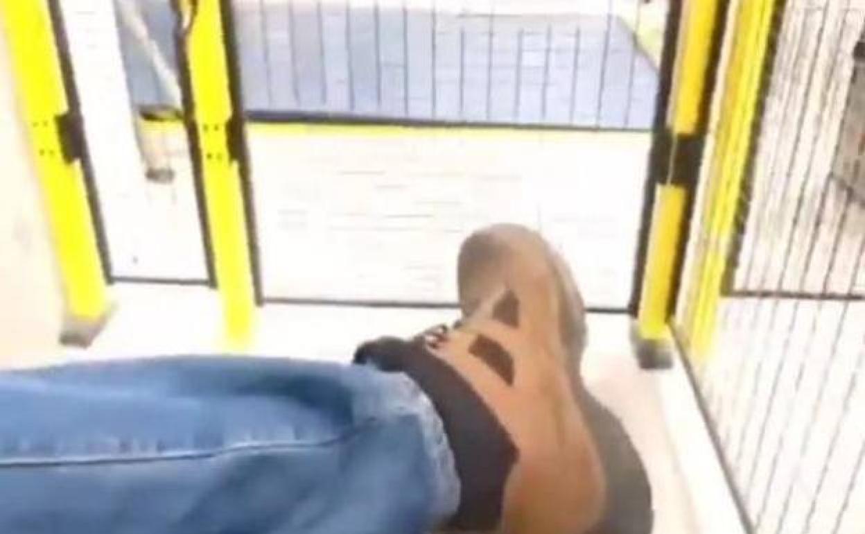 Jaula en la que ha tenido que esperar el transportista.