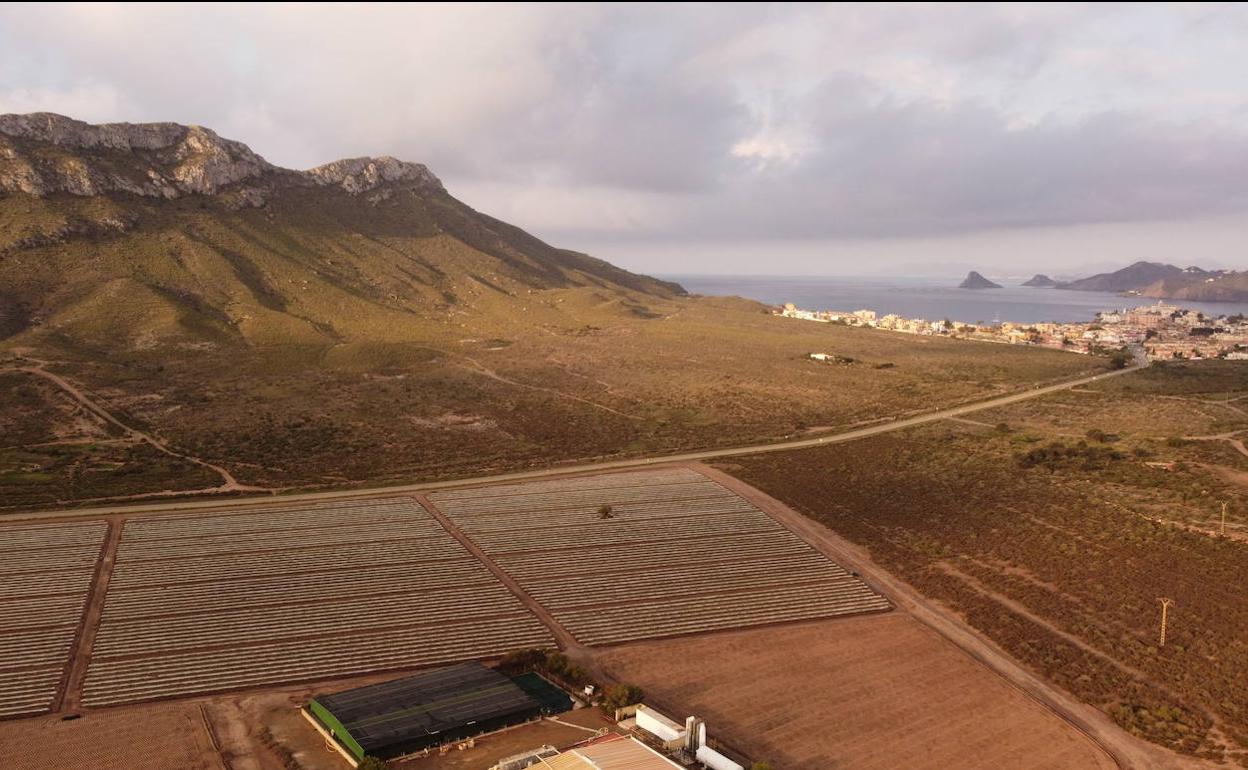 En la esquina inferior derecha, parcela donde Exiom Solution pretende instalar la planta fotovoltaica.