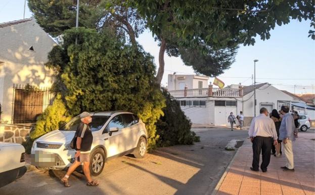 Vecinos de Santiago de la Ribera, junto a la rama caída este martes por la tarde.