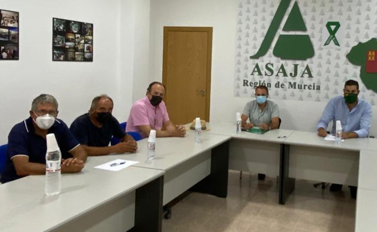 Reunión entre el diputado nacional de Vox por Murcia, Luis Gestoso, el presidente provincial, José Ángel Antelo, y los líderes de Asaja en la Región.
