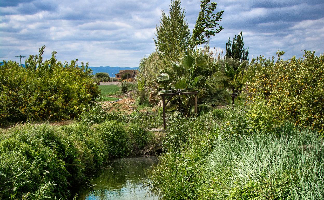 Acequia Pitarque. 