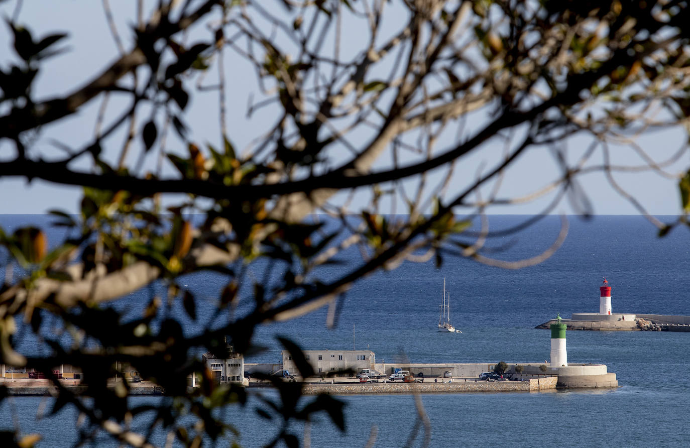 Fotos: El crucero Aída realiza la primera escala en el Puerto de Cartagena tras la pandemia