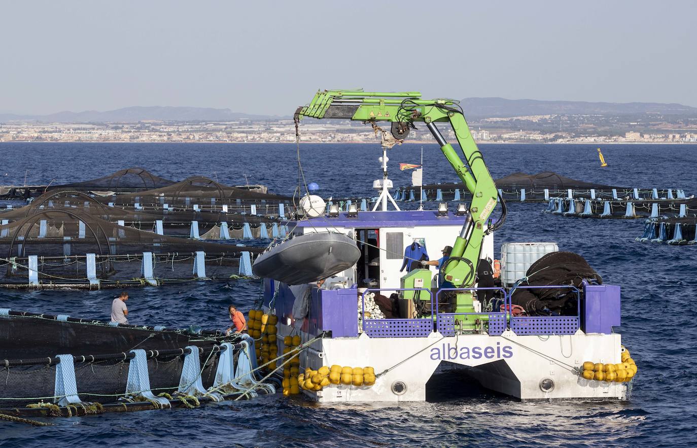 Fotos: Viveros marinos de doradas y lubinas en San Pedro