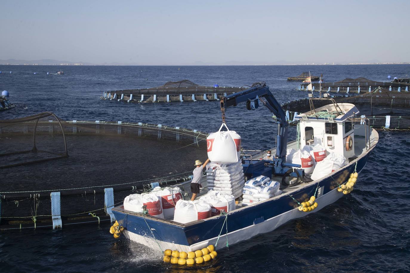 Fotos: Viveros marinos de doradas y lubinas en San Pedro