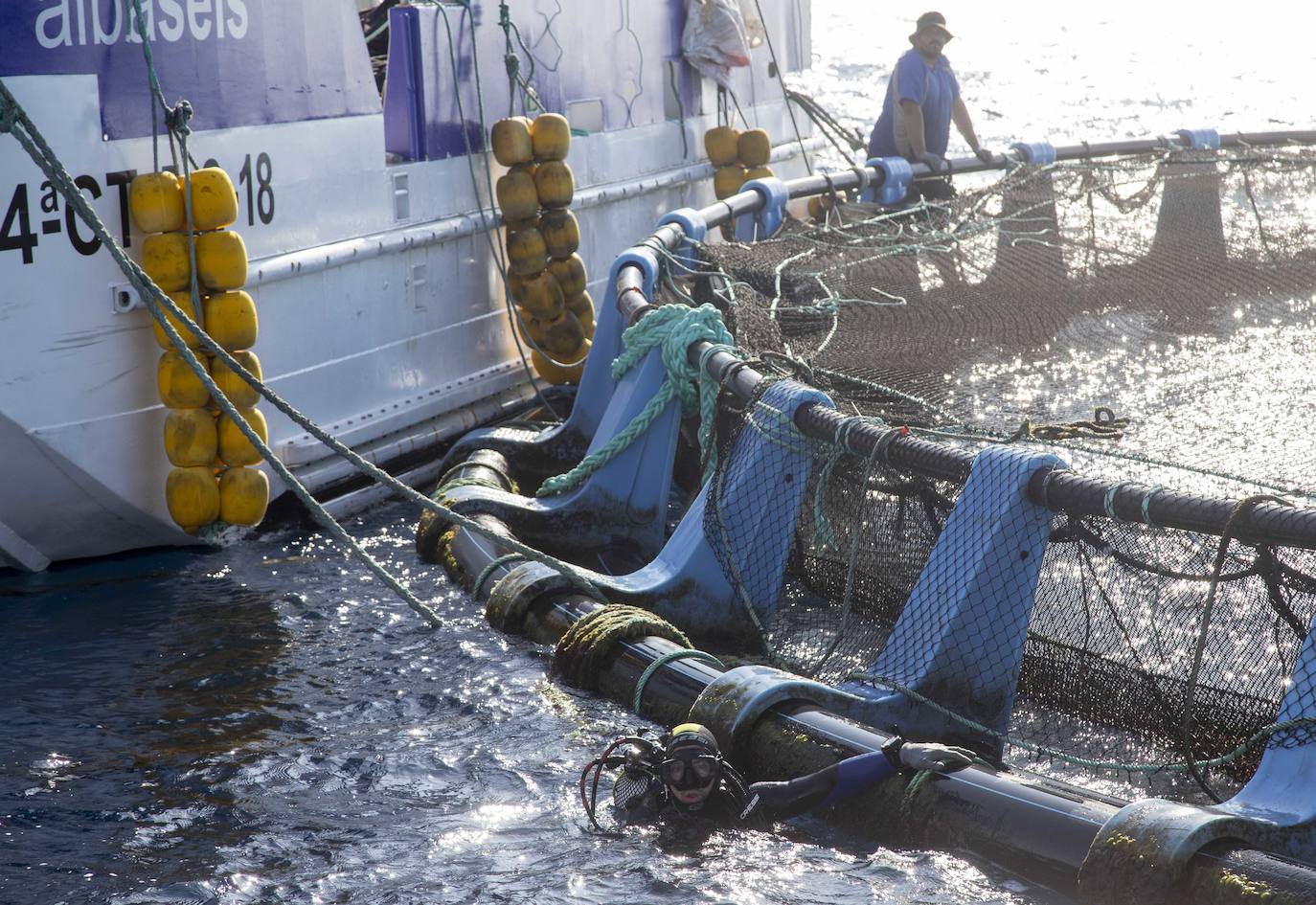 Fotos: Viveros marinos de doradas y lubinas en San Pedro