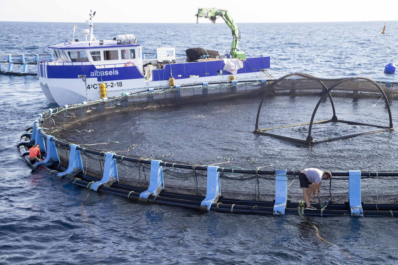 Fotos: Viveros marinos de doradas y lubinas en San Pedro