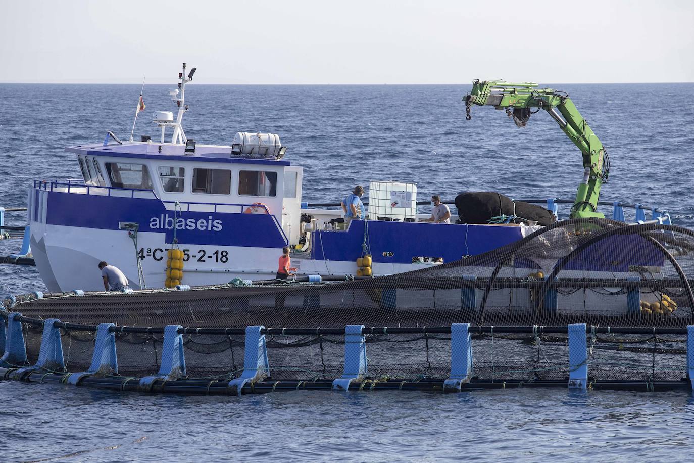Fotos: Viveros marinos de doradas y lubinas en San Pedro