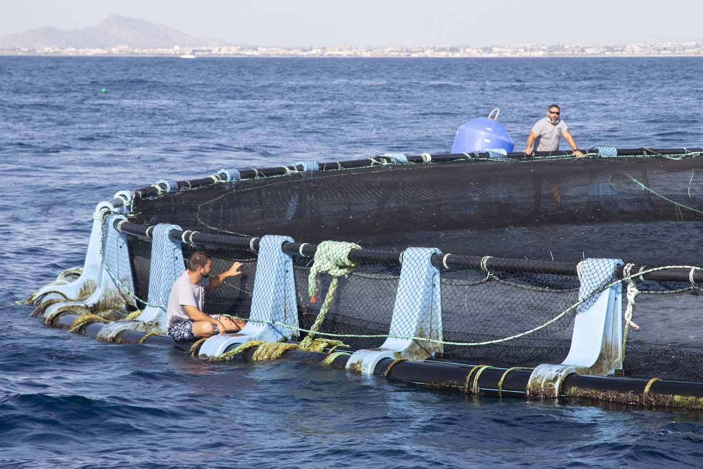 Fotos: Viveros marinos de doradas y lubinas en San Pedro