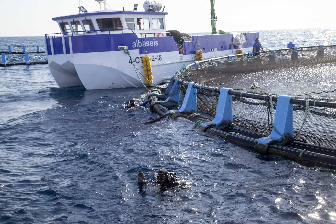 Fotos: Viveros marinos de doradas y lubinas en San Pedro