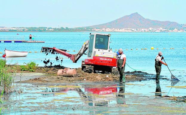 Operarios limpian una playa de Los Nietos.