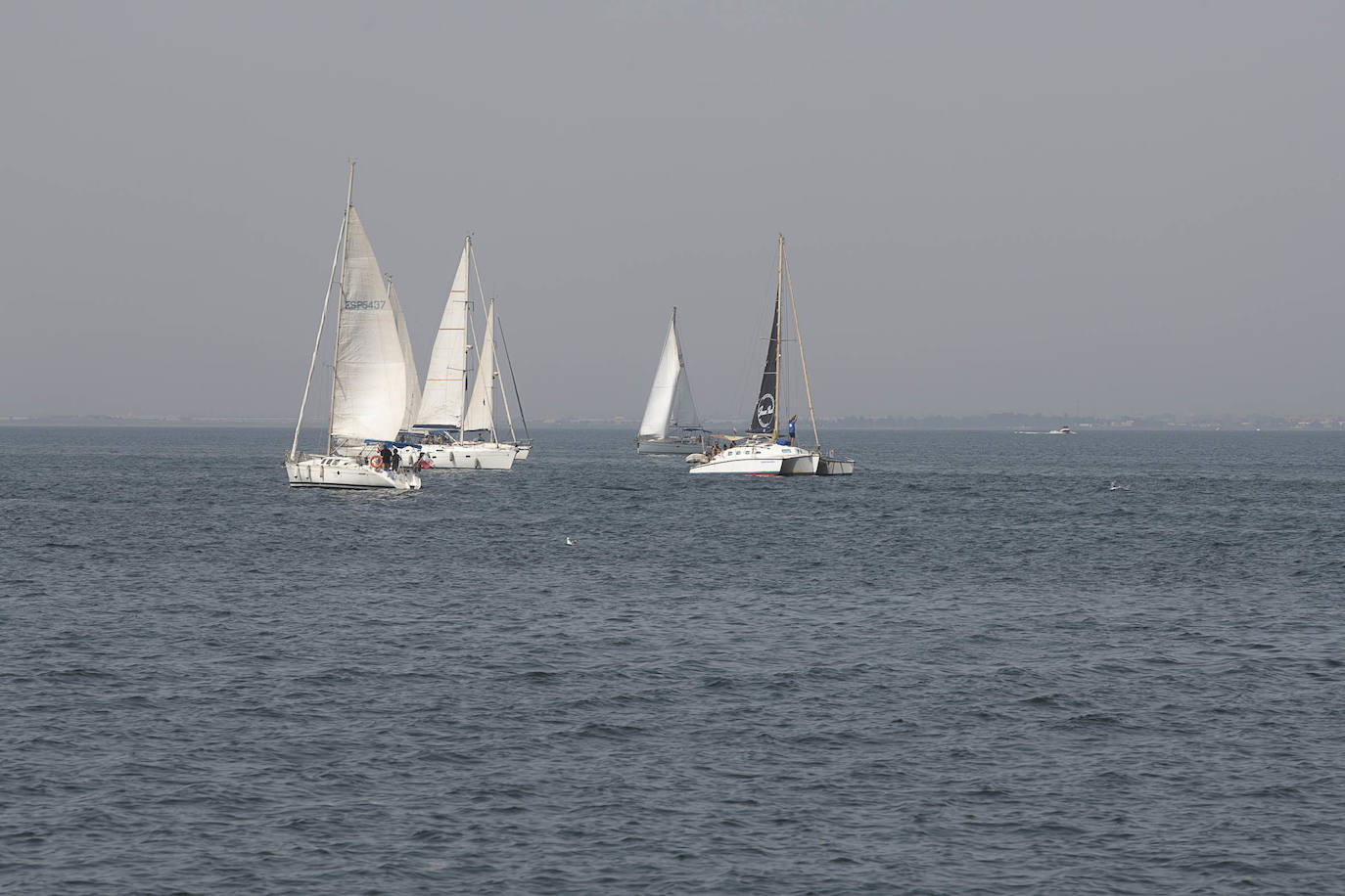 Fotos: Medio centenar de veleros salen a navegar unidos en defensa de una voz propia para el Mar Menor