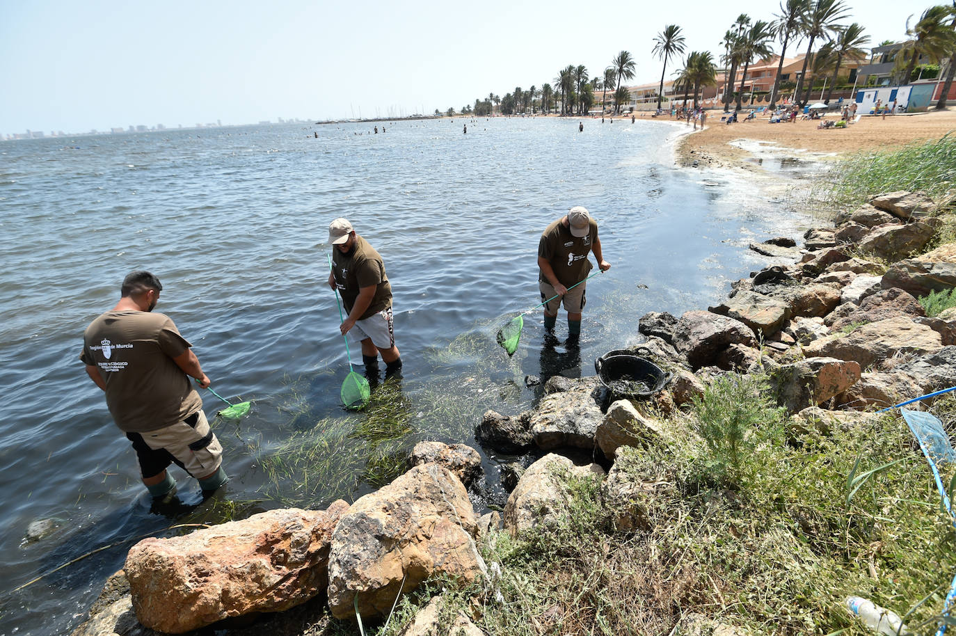 Fotos: Vecinos y turistas, «de luto» por la crisis del Mar Menor