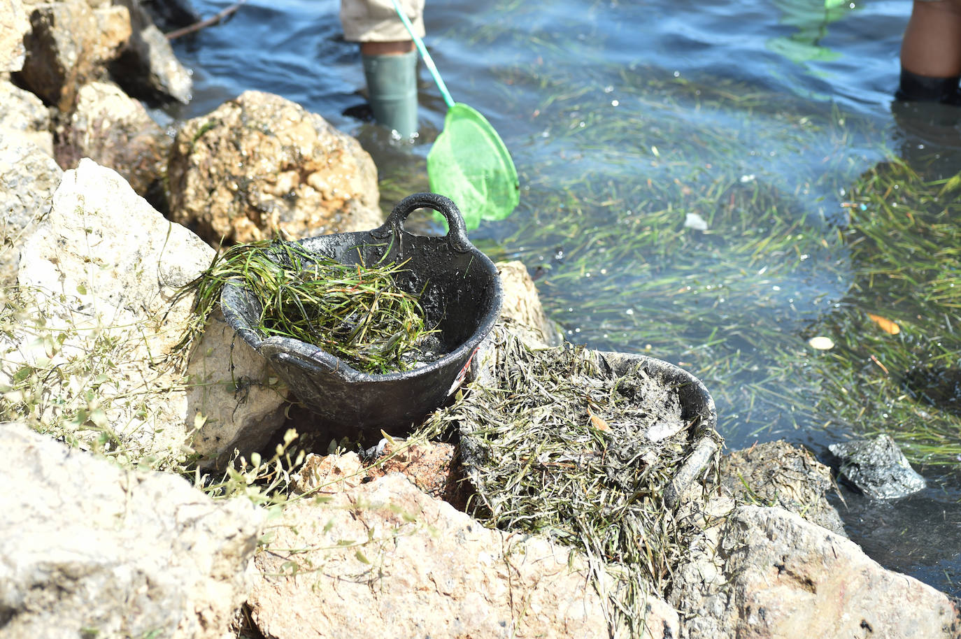 Fotos: Vecinos y turistas, «de luto» por la crisis del Mar Menor