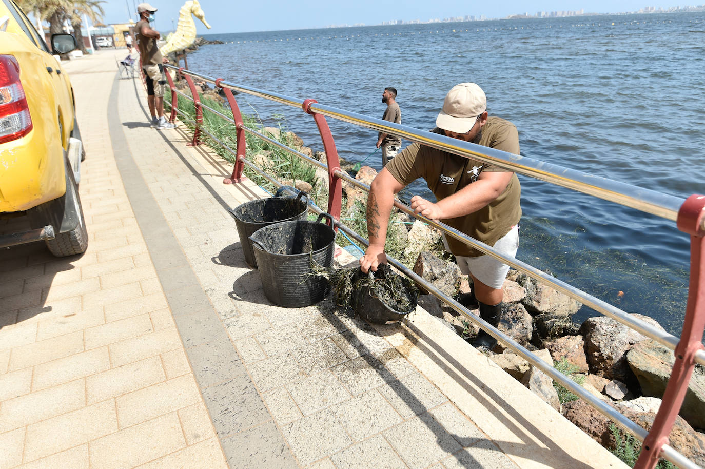 Fotos: Vecinos y turistas, «de luto» por la crisis del Mar Menor