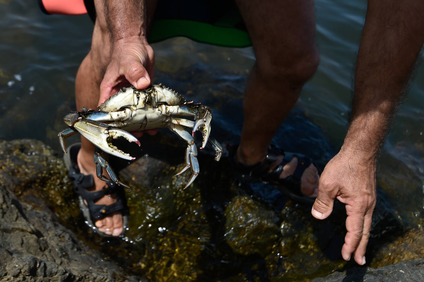 Fotos: Vecinos y turistas, «de luto» por la crisis del Mar Menor