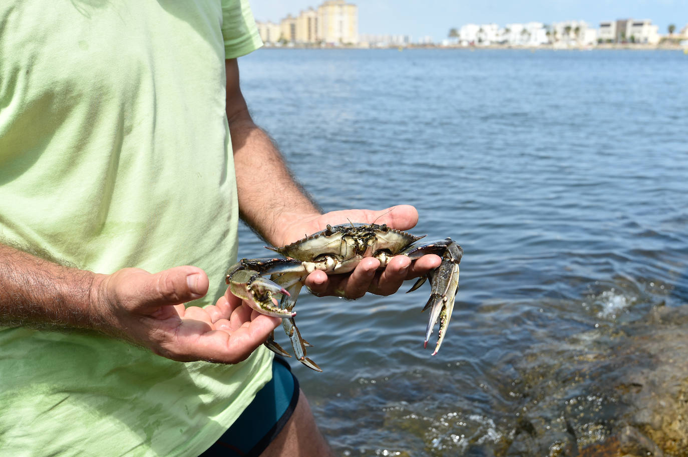 Fotos: Vecinos y turistas, «de luto» por la crisis del Mar Menor