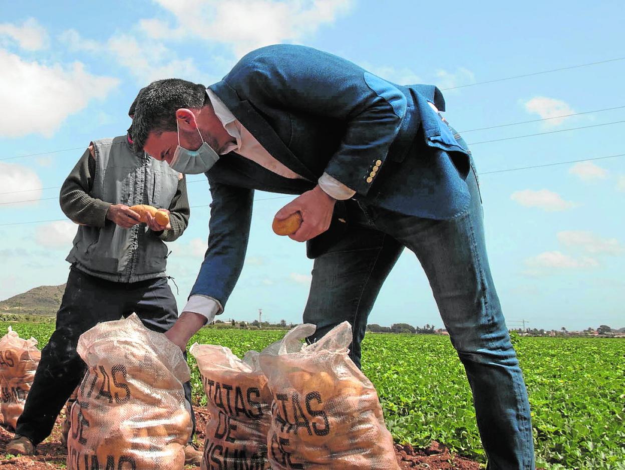 El consejero Antonio Luengo, en una plantación agrícola. 
