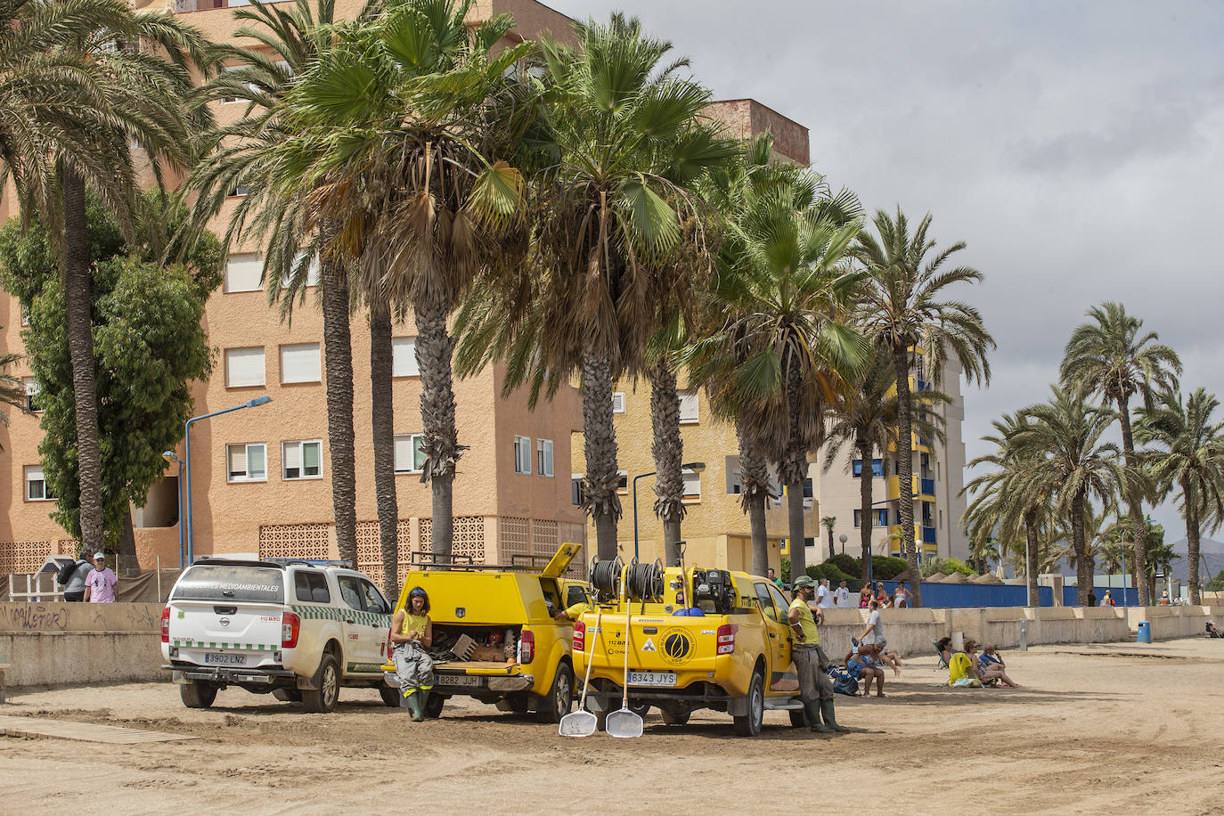 Fotos: Cierran de nuevo las playas cartageneras de La Manga por la aparición de más peces muertos por sexto día en el Mar Menor