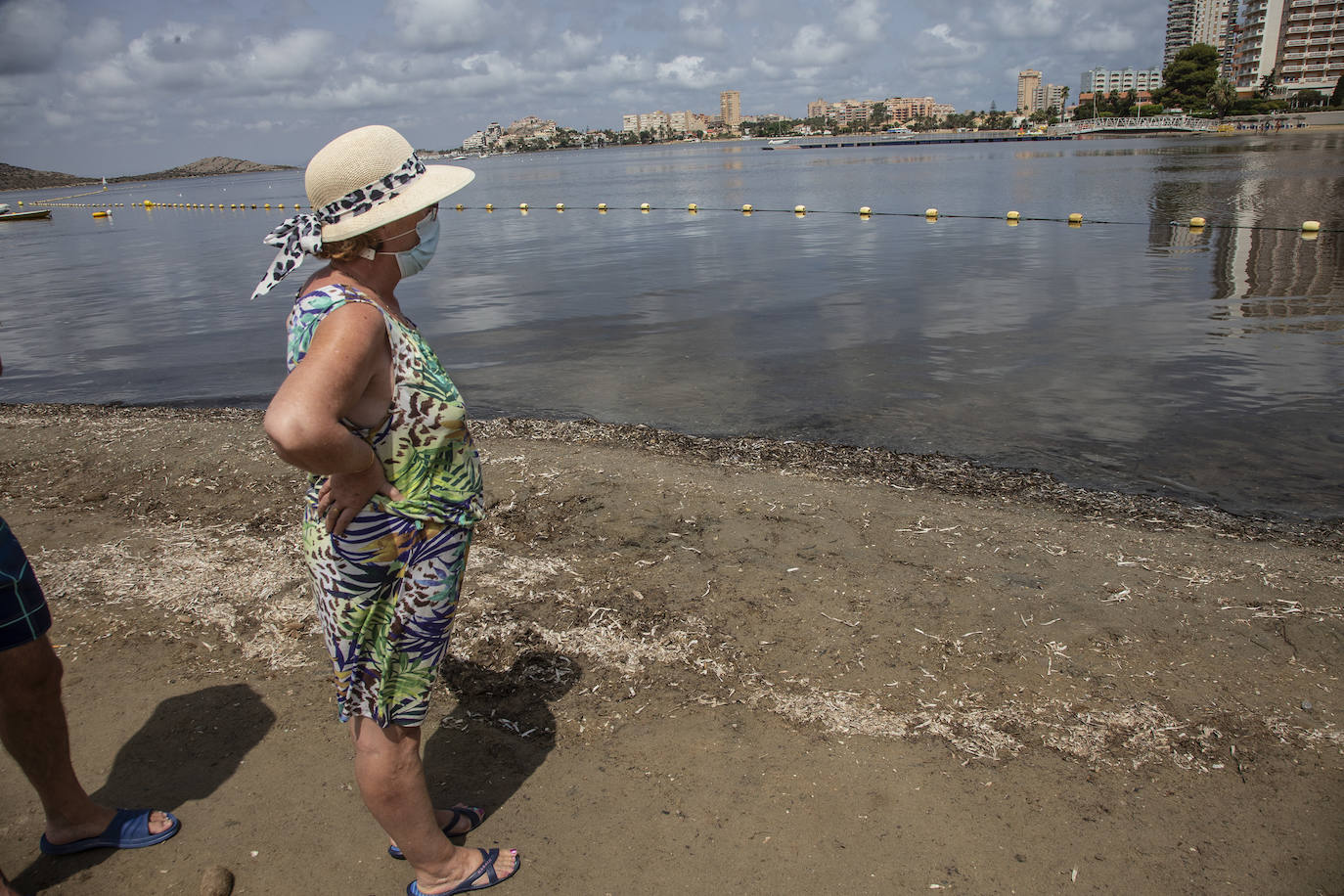 Fotos: Cierran de nuevo las playas cartageneras de La Manga por la aparición de más peces muertos por sexto día en el Mar Menor