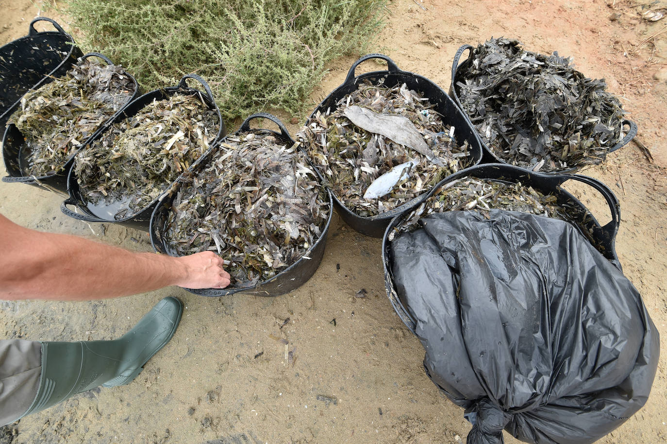 Fotos: Nuevo cierre de playas al cumplirse una semana con peces muertos en el Mar Menor