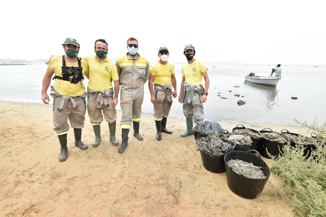 Fotos: Nuevo cierre de playas al cumplirse una semana con peces muertos en el Mar Menor