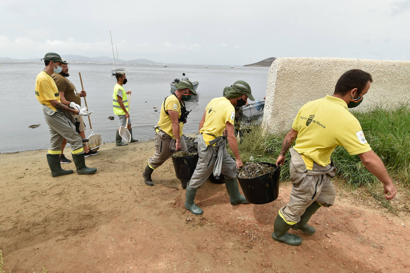Fotos: Nuevo cierre de playas al cumplirse una semana con peces muertos en el Mar Menor