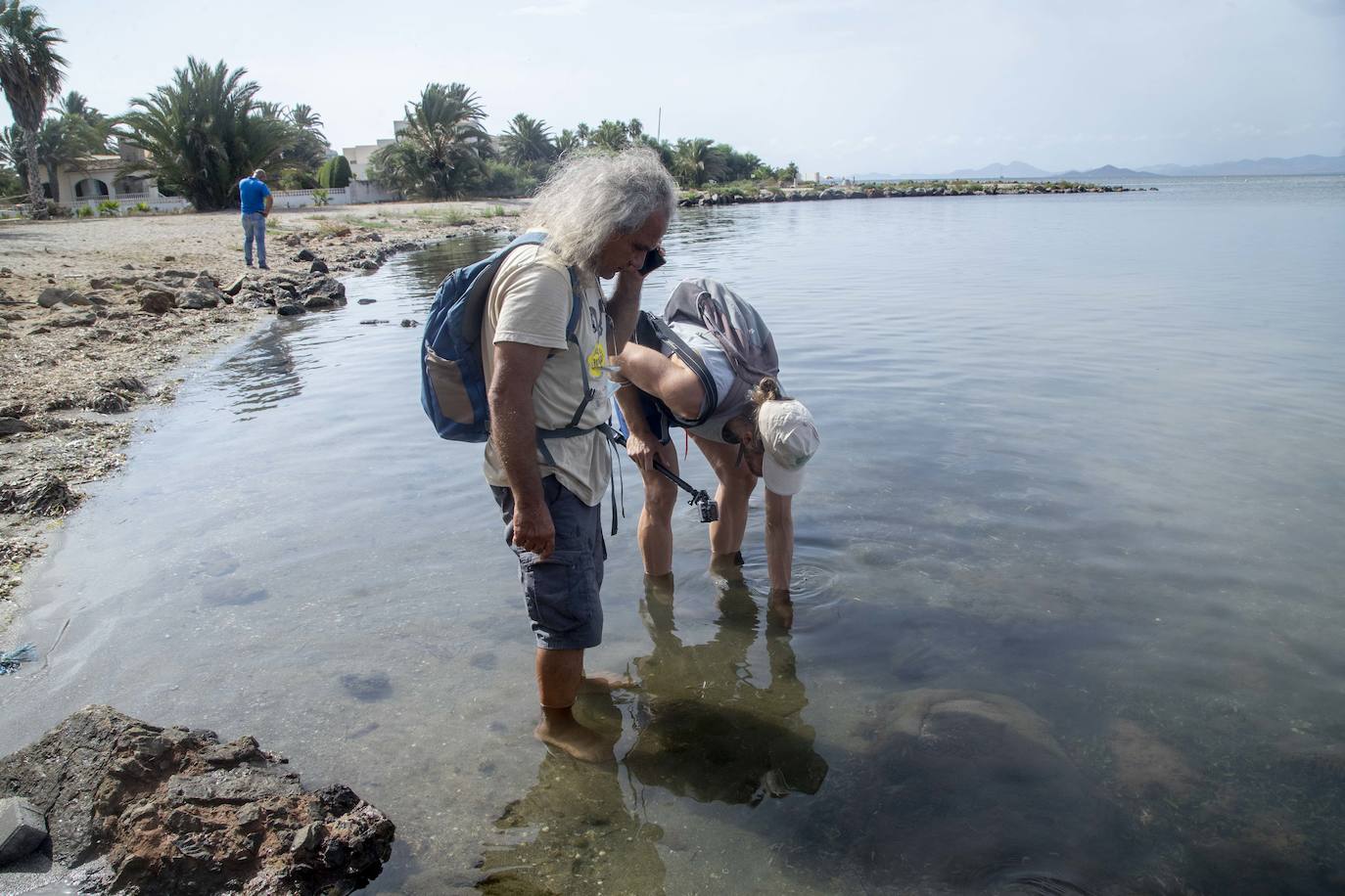 Fotos: La semana empieza con más peces muertos en el Mar Menor, hoy en la zona norte de La Manga