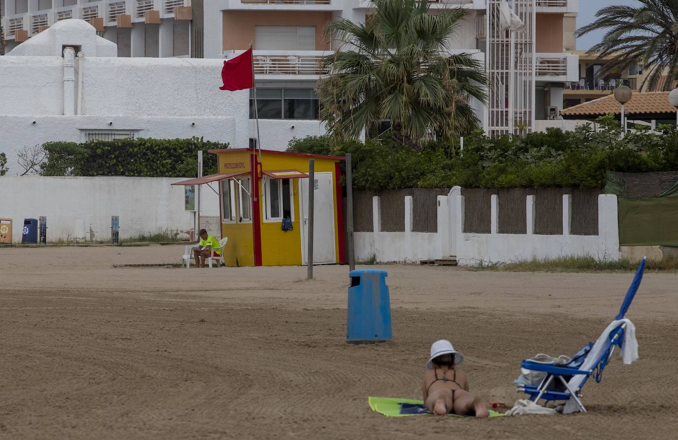 Fotos: La semana empieza con más peces muertos en el Mar Menor, hoy en la zona norte de La Manga
