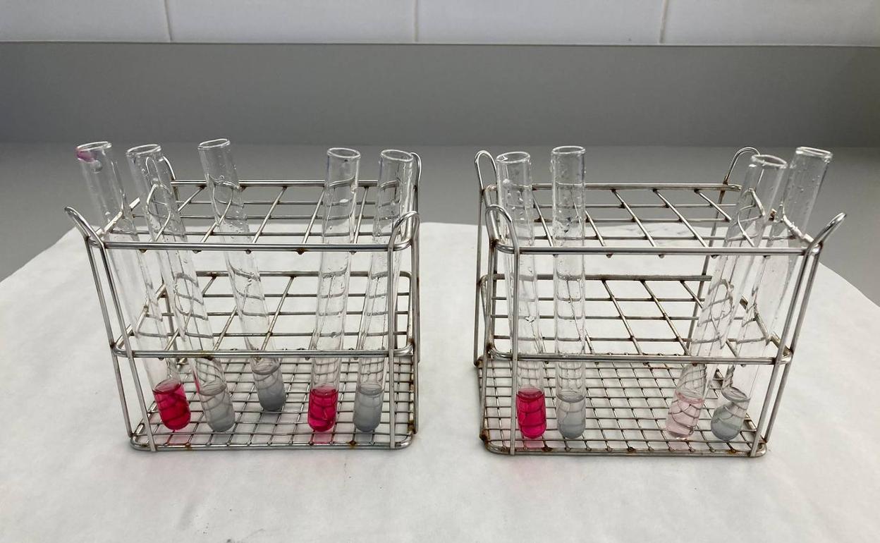 Pruebas piloto de la eliminación de nitratos de las aguas. 