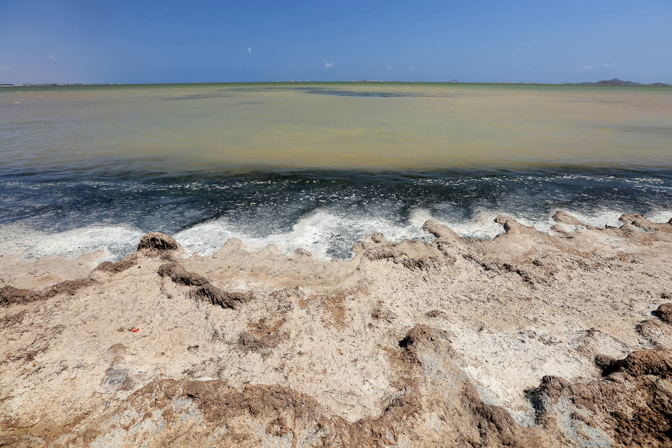 Fotos: Estado del Mar Menor durante el nuevo episodio de mortandad de peces