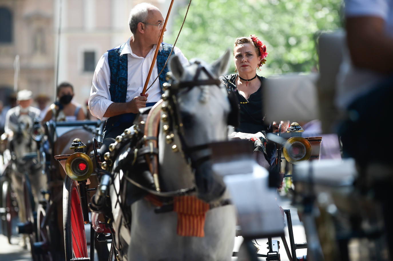 Fotos: Caballos y carretas toman Murcia