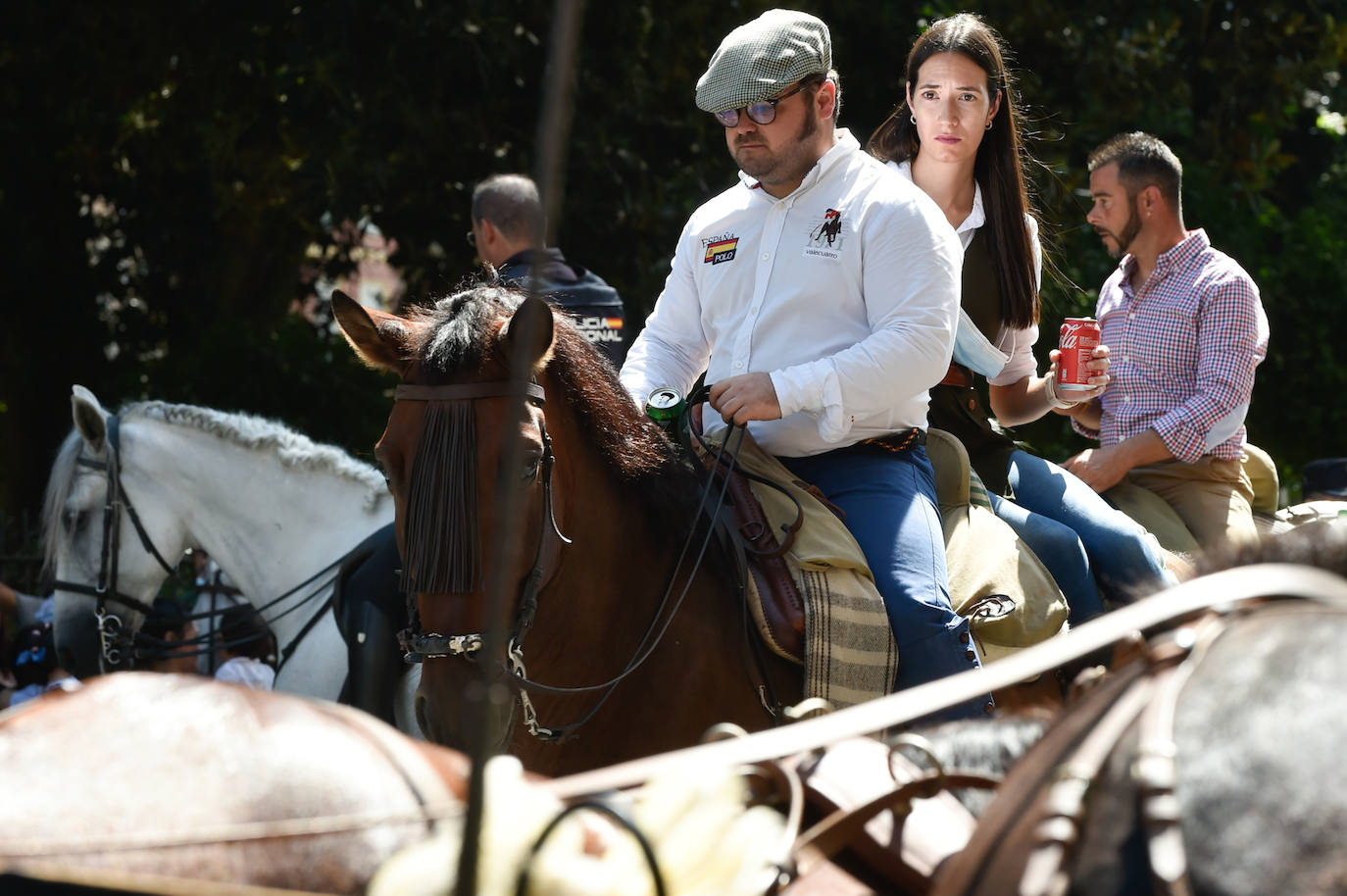 Fotos: Caballos y carretas toman Murcia
