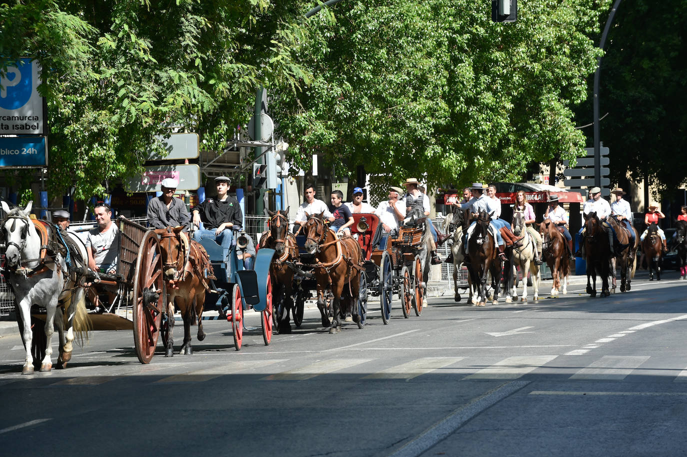 Fotos: Caballos y carretas toman Murcia