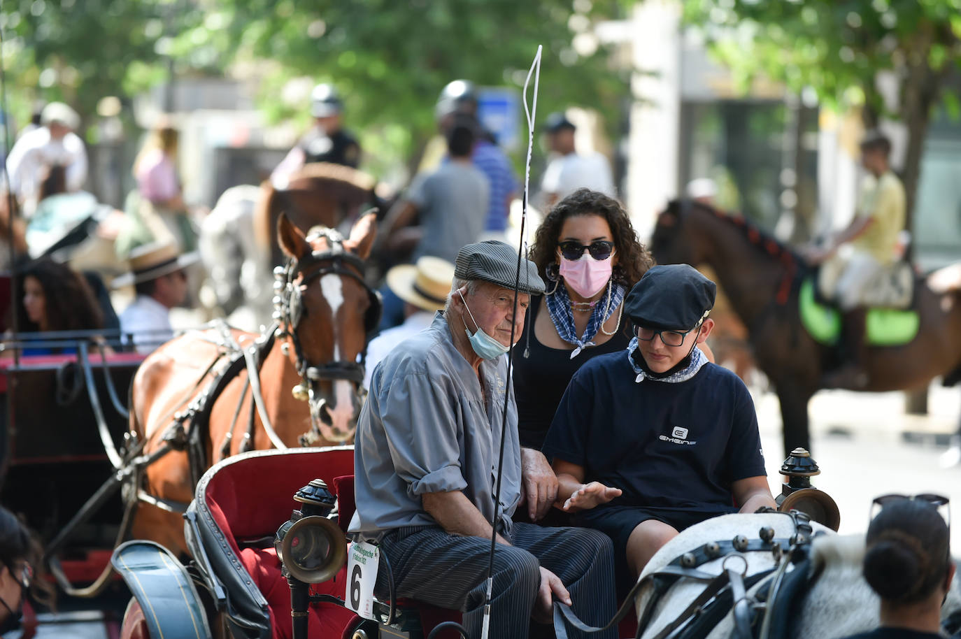 Fotos: Caballos y carretas toman Murcia
