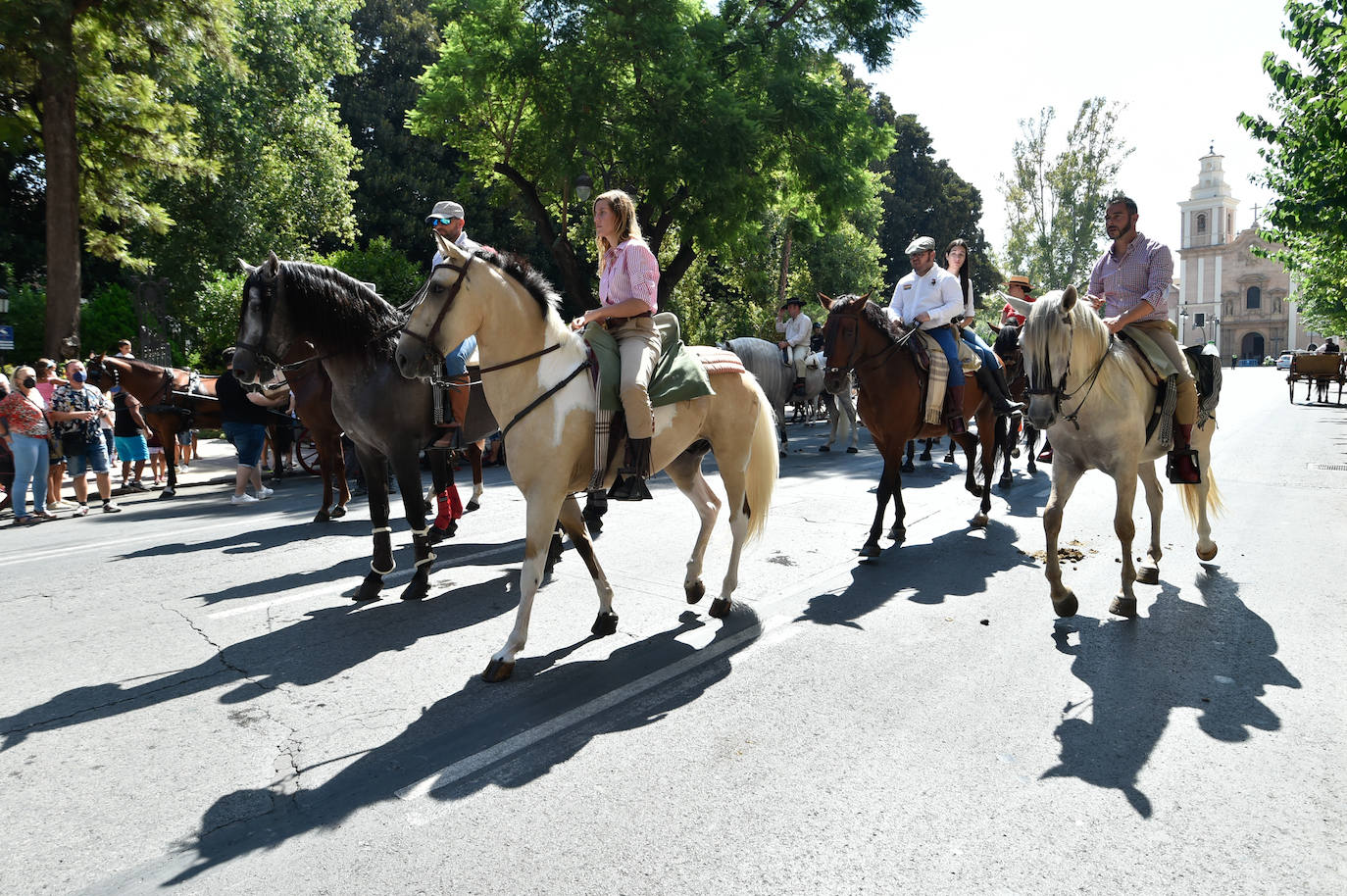 Fotos: Caballos y carretas toman Murcia