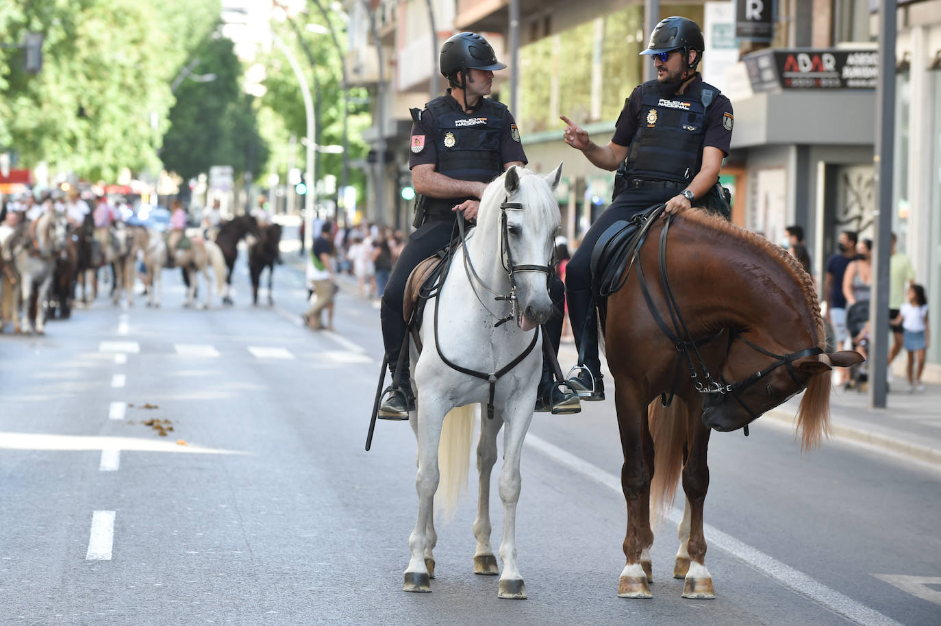 Fotos: Caballos y carretas toman Murcia