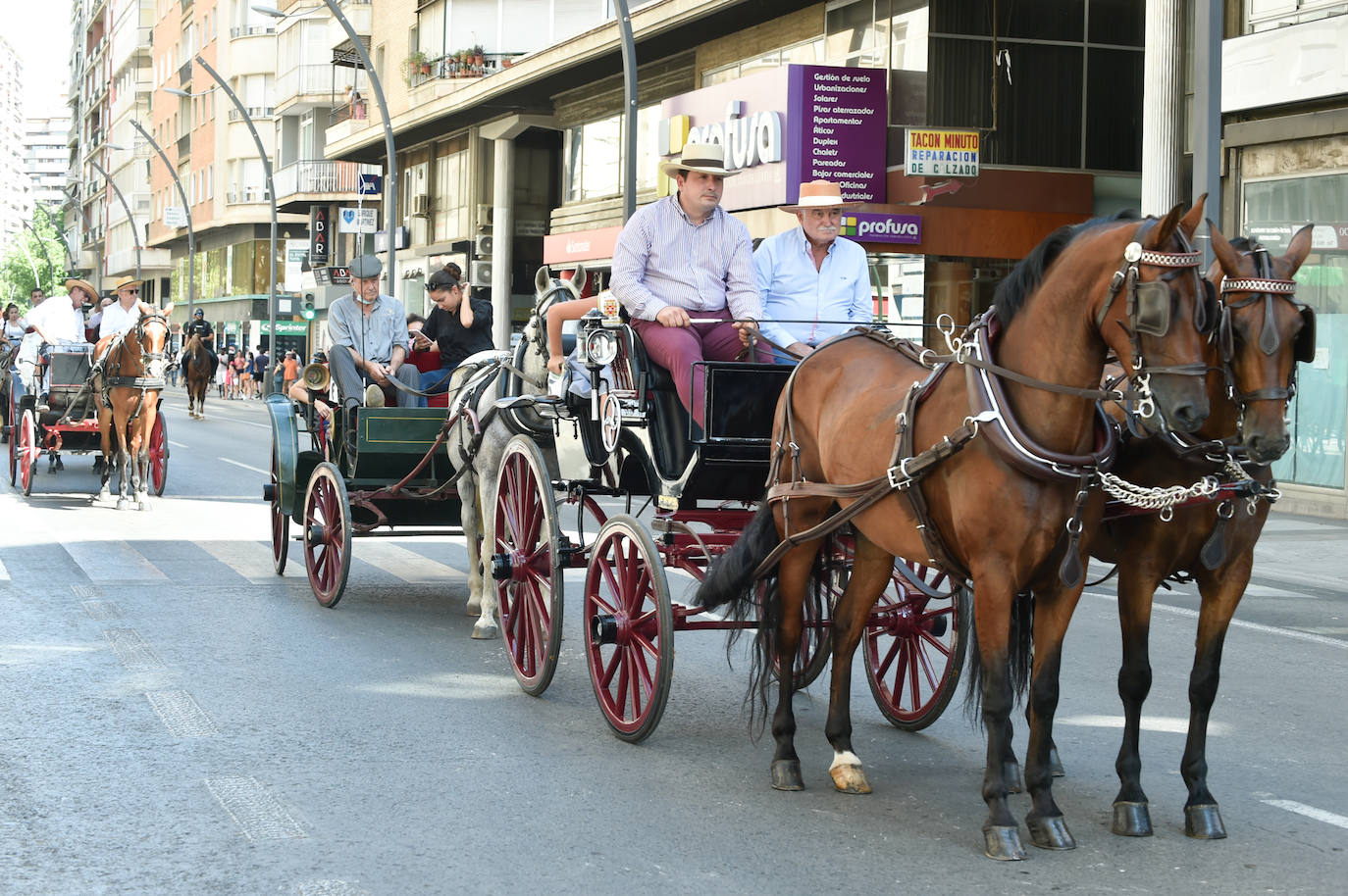 Fotos: Caballos y carretas toman Murcia