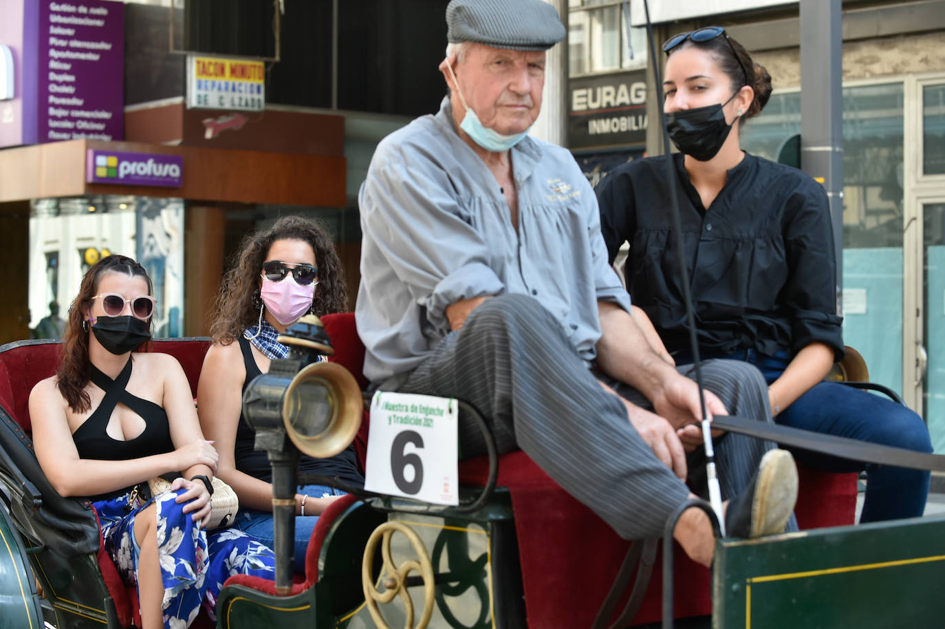 Fotos: Caballos y carretas toman Murcia