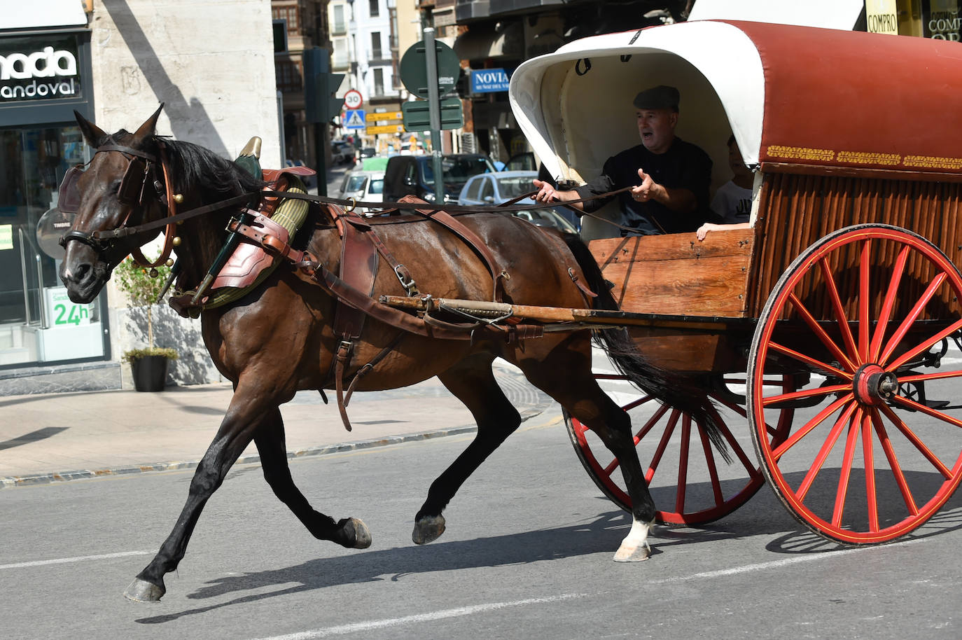 Fotos: Caballos y carretas toman Murcia