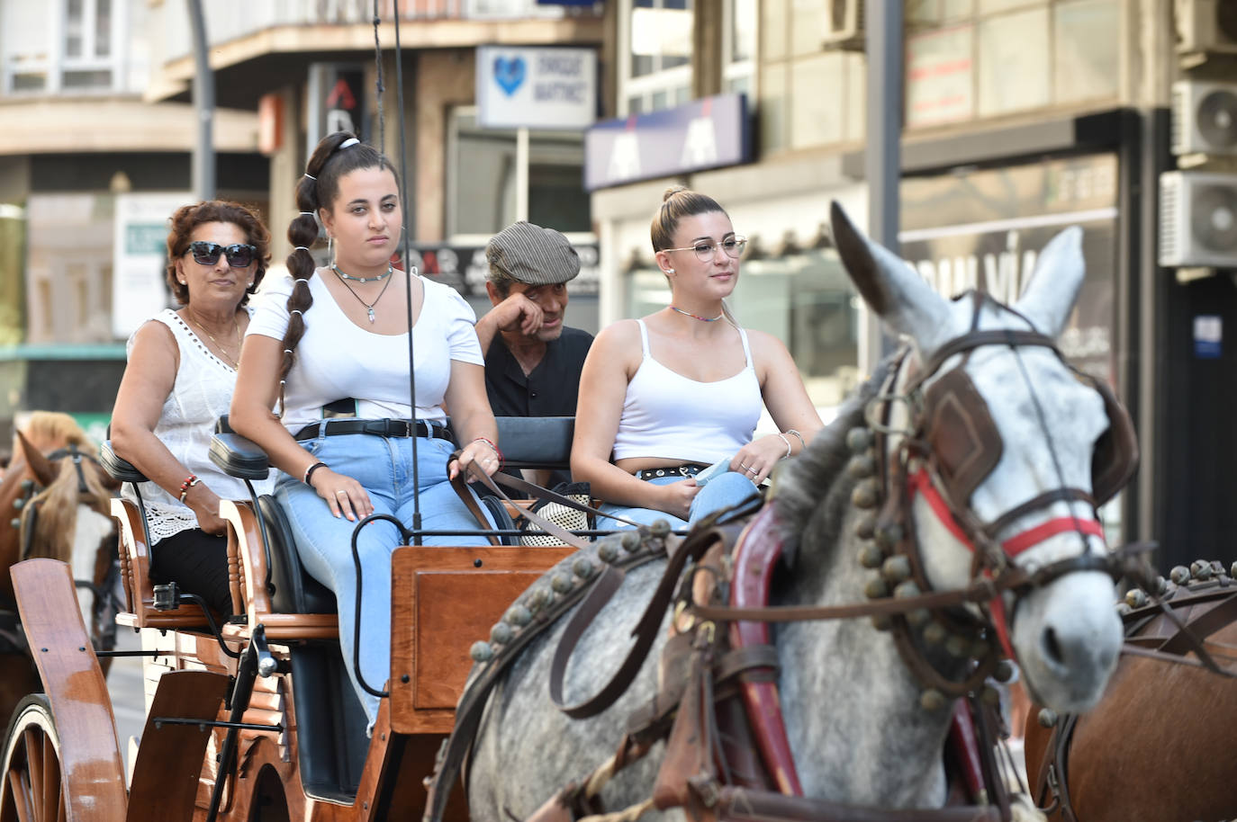 Fotos: Caballos y carretas toman Murcia