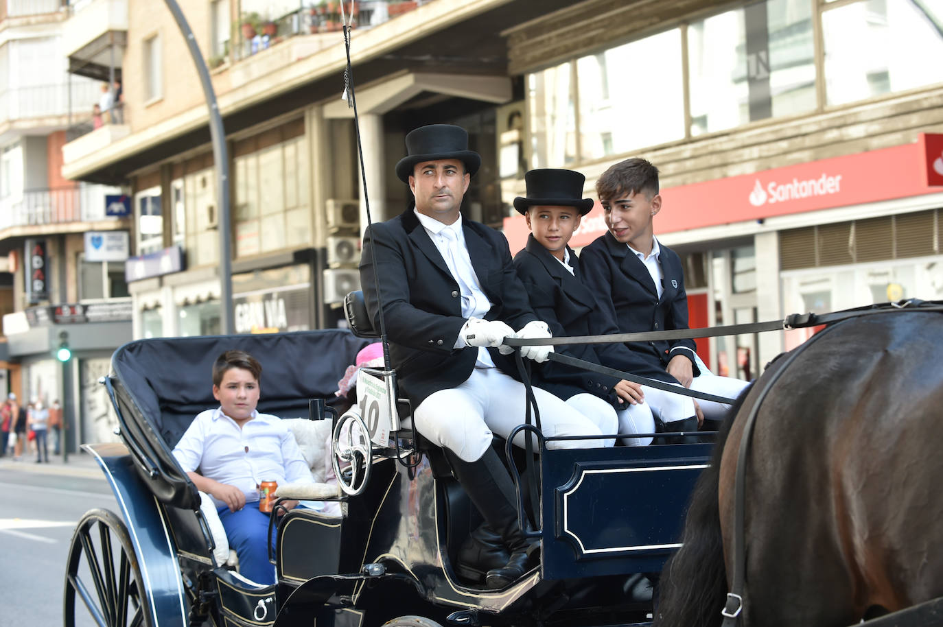 Fotos: Caballos y carretas toman Murcia