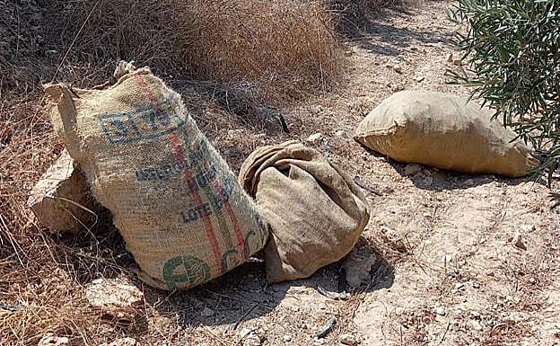 Sacos de garrofa dejados por los ladrones tras ser sorprendidos en una finca. 